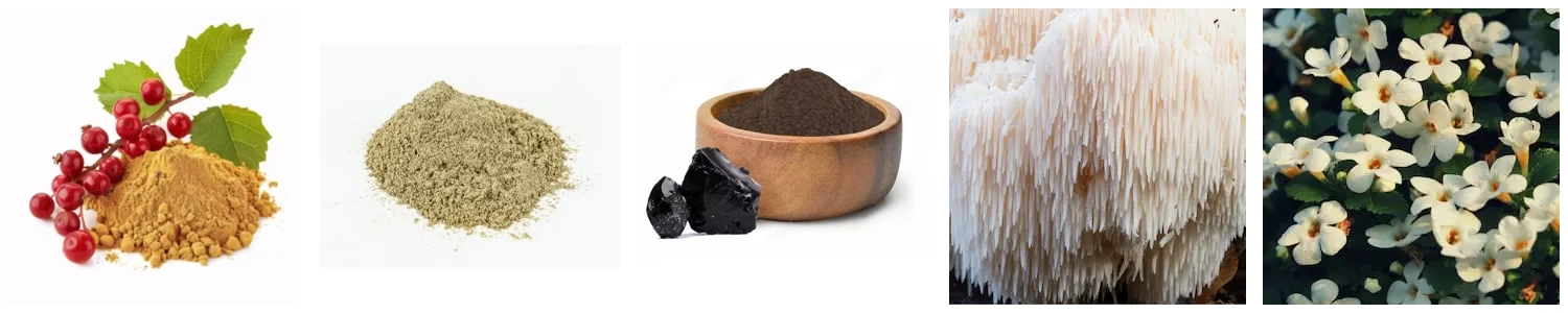 NeuroVera ingredients